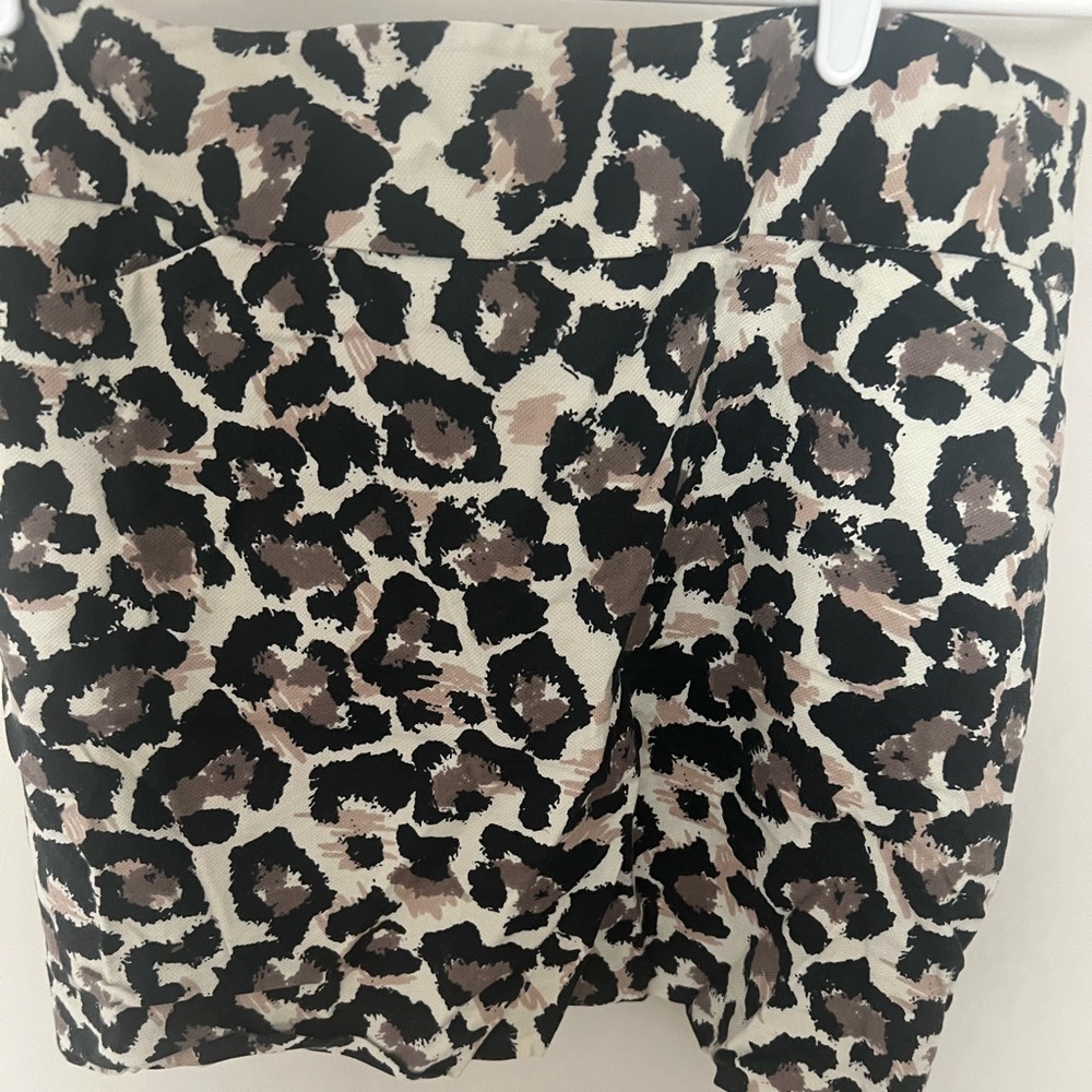 Ann Taylor Loft